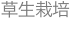 shapeimage_23_link_0