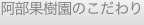 shapeimage_12_link_0
